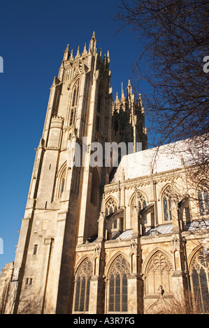 Detail Beverley Minster East Yorkshire UK Stockfoto