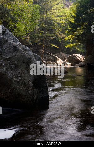 Die Ashuelot als es fliesst durch Gilsum Schlucht in Gilsum New Hampshire Stockfoto
