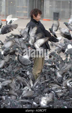 Tourist in Markusplatz entfernt Tauben füttern. San Marco, Venedig, Italien Stockfoto