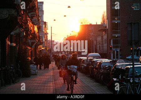 Winter-Sonnenuntergang in Oosterpark Amsterdam Niederlande Stockfoto