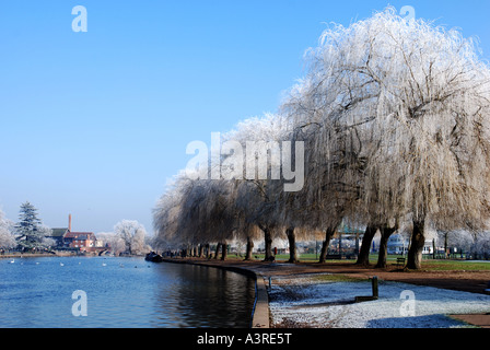 Raureif auf Weiden von Fluß Avon in Stratford Warwickshire, England, UK Stockfoto