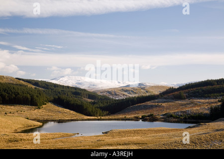 Llyn Nantycagl in Moor- und Nadelwald mit Schnee auf plynlimon Berg- oder Pumlumon Fawr im Winter. Ceredigion Mid Wales UK Großbritannien Stockfoto