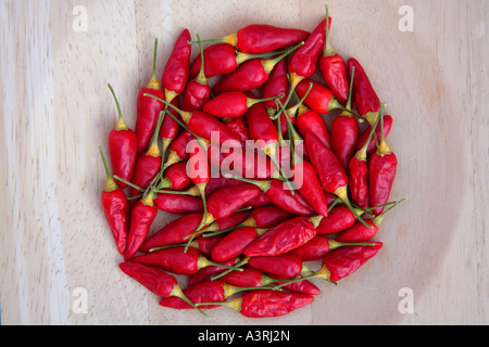 Rote Chilischoten in Holzschale angeordnet. Stockfoto