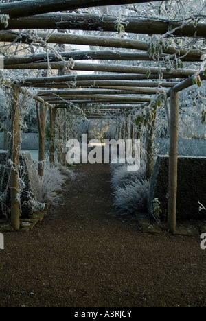 Rime Frost auf Rosen auf Pergola in einem formalen Garten UK Stockfoto