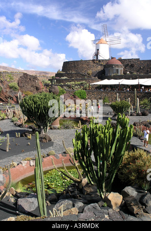 Ansicht von Cesar Manriques Jardin de Cactus in Lanzarote Stockfoto