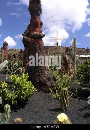 Ansicht von Cesar Manriques Jardin de Cactus in Lanzarote Stockfoto