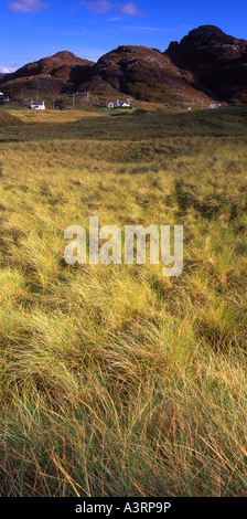 Dünengebieten Grass auf Dünen Sanna Bay, Ardnamurchan. Stockfoto