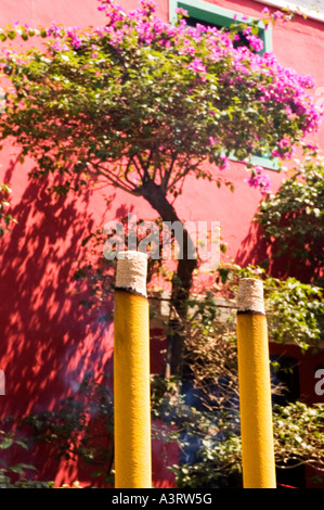 Stock Foto von Weihrauch klebt Brennen einer rosa Wand am Po Lin Monastery auf Lantau Island in Hongkong 2006 Stockfoto