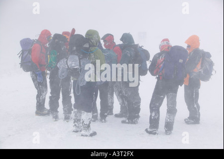 Mountaineer zu Fuß durch extreme Blizzard Bedingungen in den Cairngorm Mountains, Schottland, UK in starkem Schneefall Stockfoto