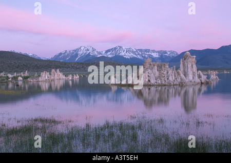 Mono Lake in der Sierra Nevada, USA, Kalifornien, Sierra Nevada Stockfoto