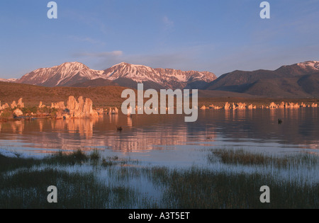 Mono Lake in der Sierra Nevada, USA, Kalifornien, Sierra Nevada Stockfoto