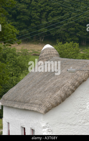 Troedrhiwfallen strohgedeckten Roofwelsh Hütte Cribyn Ceredigion, im Besitz von Greg Stevenson "unter Reet" Urlaubsbegleitung Wales U Stockfoto