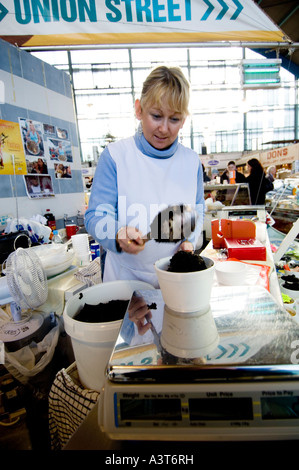 Frau Standbesitzer Verkauf an Indoor-Markt Swansea West Glamorgan Wannen Laverbread vorbereiten Stockfoto