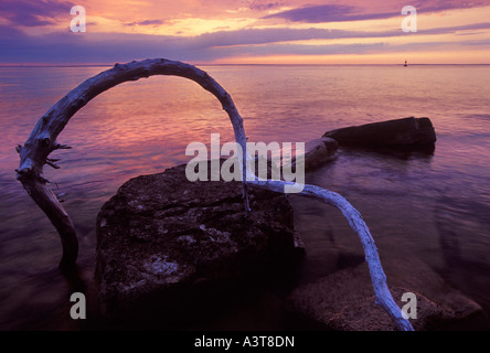 TREIBHOLZ UND FELSEN BEI SONNENUNTERGANG AM LAKE MICHIGAN AUF DER GARTEN-HALBINSEL Stockfoto