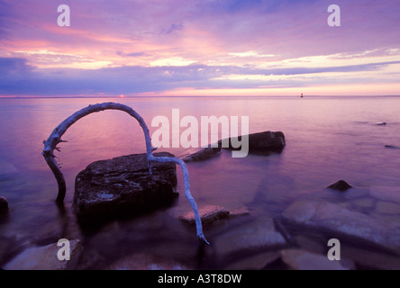 TREIBHOLZ UND FELSEN BEI SONNENUNTERGANG AM LAKE MICHIGAN AUF DER GARTEN-HALBINSEL Stockfoto