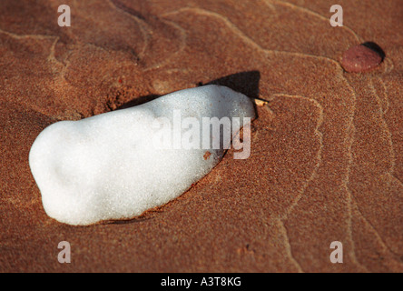 EIN STÜCK DES LAKE SUPERIOR TREIBEIS SCHMILZT AUF EINEM SANDSTRAND IM FRÜHJAHR IN DER NÄHE VON MARQUETTE, MICHIGAN Stockfoto