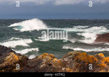 Orangefarbenen Flechten Klammern sich an der Küste der Keweenaw-Halbinsel als große Lake Superior-Wellen in der Nähe von Copper Harbor Stockfoto