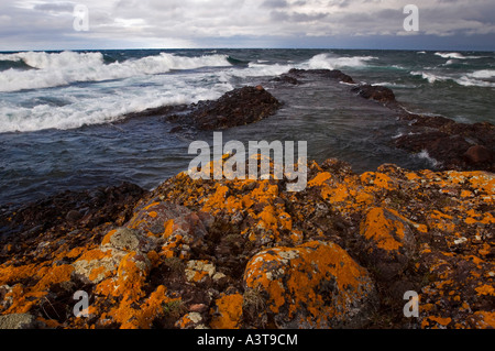 Orangefarbenen Flechten Klammern sich an der Küste der Keweenaw-Halbinsel als große Lake Superior-Wellen in der Nähe von Copper Harbor Stockfoto