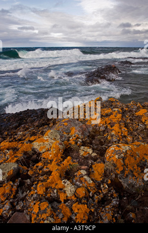 Orangefarbenen Flechten Klammern sich an der Küste der Keweenaw-Halbinsel als große Lake Superior-Wellen in der Nähe von Copper Harbor Stockfoto