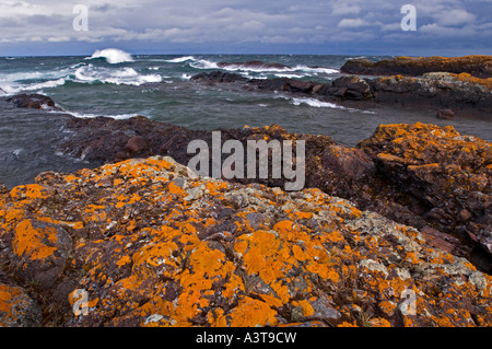 Orangefarbenen Flechten Klammern sich an der Küste der Keweenaw-Halbinsel als große Lake Superior-Wellen in der Nähe von Copper Harbor Stockfoto