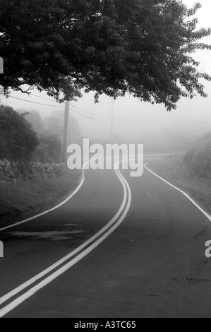 Kurve in der Straße in Nebel mit Landschaft block Island Rhode Island USA USA RI Stockfoto