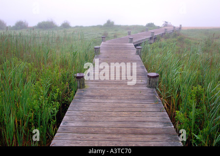 Promenade-Vorstand Fuß Meerenge in Horizont mit Natur-Landschaft-Idee Stockfoto