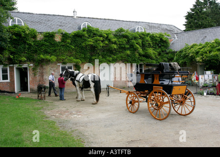 Pferdekutsche Kutsche in stabilen Hof Stockfoto