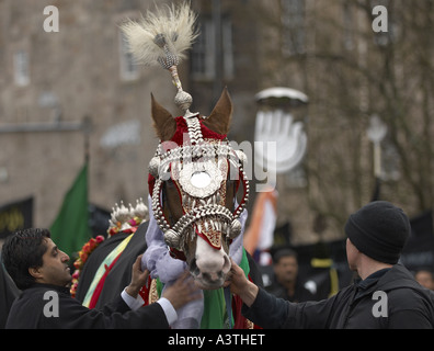 Pferd am Aschura-Feierlichkeiten in Glasgow Schottland dekoriert Stockfoto