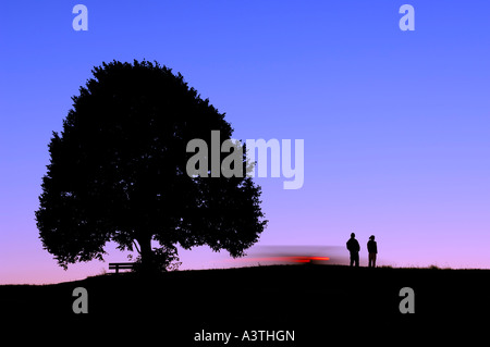 Zwei Personen stehen auf der rechten Seite eine Linde Baum während der blauen Stunde in der Nacht, ein Auto im Hintergrund vorbei an der Stockfoto