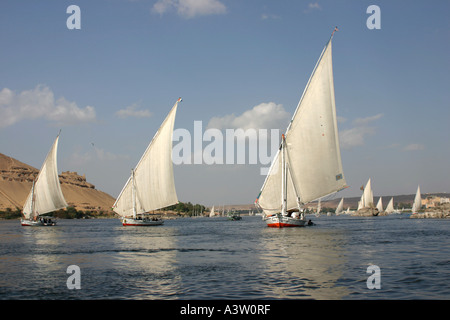 Feluken auf dem Nil, Assuan, Ägypten Stockfoto