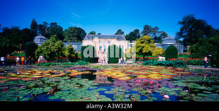Wilhelma / Stuttgart Stockfoto