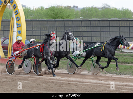 Pferderennen auf dem Moskauer Hippodrom Stockfoto