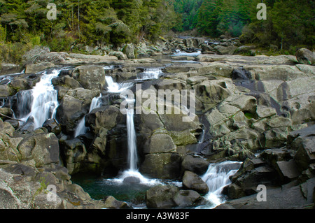 McLarren fällt Kaimai Ranges Bay of Plenty New Zealand Stockfoto