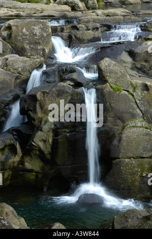 McLarren fällt Kaimai Ranges Bay of Plenty New Zealand Stockfoto