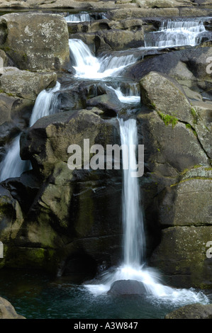 McLarren fällt Kaimai Ranges Bay of Plenty New Zealand Stockfoto