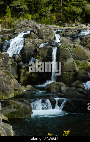 McLarren fällt Kaimai Ranges Bay of Plenty New Zealand Stockfoto