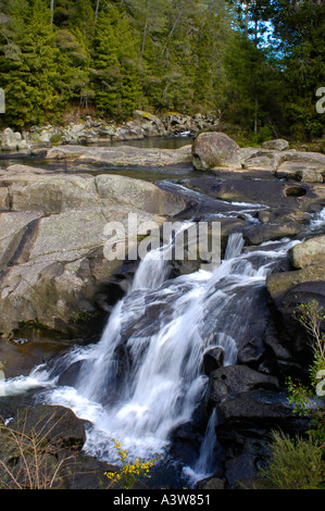 McLarren fällt Kaimai Ranges Bay of Plenty New Zealand Stockfoto