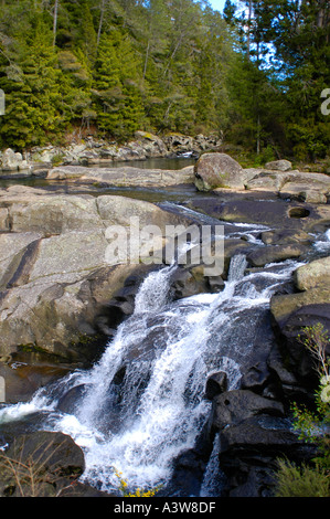 McLarren fällt Kaimai Ranges Bay of Plenty New Zealand Stockfoto