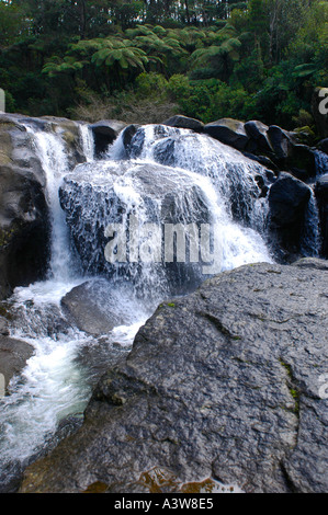 McLarren fällt Kaimai Ranges Bay of Plenty New Zealand Stockfoto