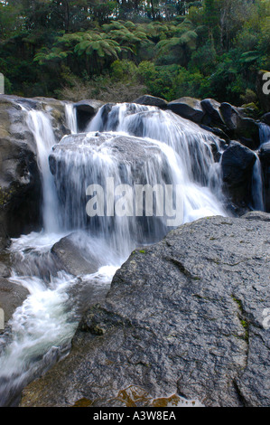 McLarren fällt Kaimai Ranges Bay of Plenty New Zealand Stockfoto