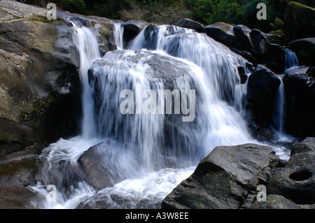 McLarren fällt Kaimai Ranges Bay of Plenty New Zealand Stockfoto