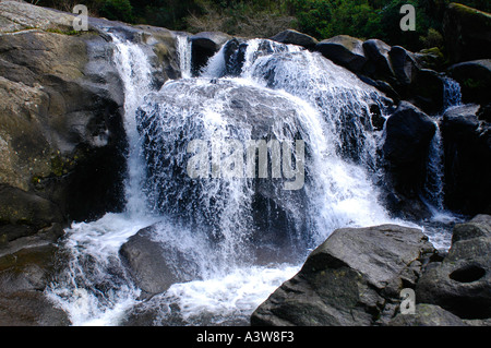 McLarren fällt Kaimai Ranges Bay of Plenty New Zealand Stockfoto