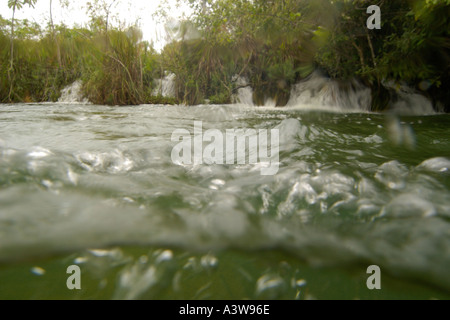 Stromschnellen auf natürliche Süßwasserquelle bewahren Prata Fluss Bonito Mato Grosso Do Sul, Brasilien Stockfoto