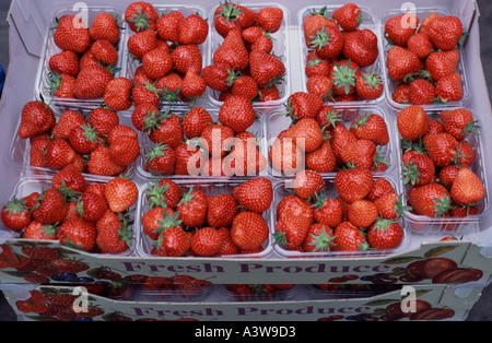 Bastkörbe Erdbeeren zum Verkauf in Bad Bauern Markt Bath Spa, Somerset, Großbritannien Stockfoto