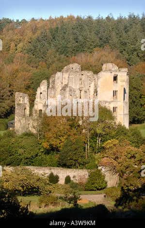 ALTEN WARDOUR CASTLE IN DER NÄHE VON TISBURY WILTSHIRE NOV 2006 Stockfoto