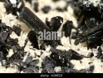 Mineral Schörl, Turmalin Wafer mit fast vollständigen Abdeckung von toumaline Kristalle auf der einen Seite und einzelnen Kristalle auf der anderen, Bahia, Brasilien Stockfoto