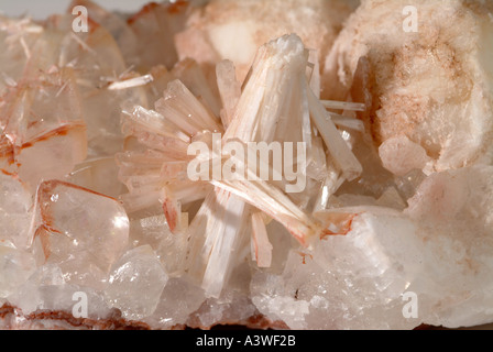 Mineralische Natrolith, Natrolith Kristalle und Analcime mit Apophlite, Dean Steinbruch, St. Keverne, Cornwall, England Stockfoto