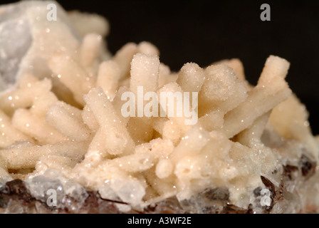 Mineralische Stilbite, Stilbite Pseudomorphs von Natrolith, Dean Quarry, St. Keverne, Cornwall, England Stockfoto