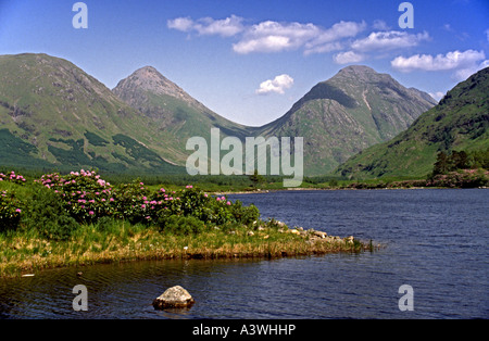 Blick Richtung Lochan Urr im Glen Etive Buachaille Etive Highland Schottland mit Beag & Buachaille Etive Mor hinter & Rhododendren Stockfoto