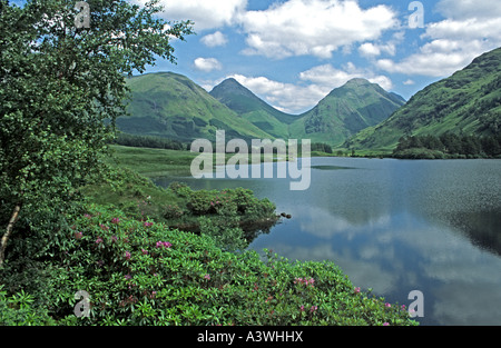 Blick Richtung Lochan Urr im Glen Etive Highlalnd Schottland mit Buachaille Etive Beag & Buachaille Etive Mor hinter & Rhododendren Stockfoto